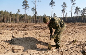 Военнослужащие Института приняли участие в "Недели леса" 